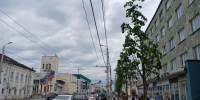 В Калуге семь больших лип высадили на улице Ленина - Калужский перекрёсток