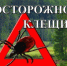 Осторoжно, клeщи! - МЧС