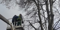 Два троллейбусных маршрута Калуги прекратят работу на три часа - Калужская неделя