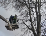 Два троллейбусных маршрута Калуги прекратят работу на три часа