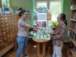 Поздравительная акция «Ромашковое настроение»