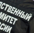 Нападение на 4-летнюю девочку в Калужской области: возбуждено уголовное дело по факту надругательства - ProGorod40.Ru