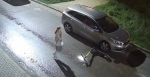 В Калуге девушка на электросамокате повредила припаркованный автомобиль