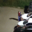 В Калуге мужчина ночью запрыгивал на машины на парковке - Калужский перекрёсток