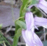Минприроды КО - Kaluga-Poisk.Ru
