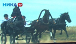 Калужан приглашают на III Всероссийский фестиваль орловского рысака в Тарусе