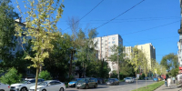 В Калуге начали озеленять улицу Тульскую - Калужский перекрёсток