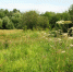 Экс-чиновник в Калужской области осуждён за мошенничество с землёй - Знамя