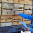 1,7 млн штук подкарантинной продукции экспортировали с Калужской области - Знамя