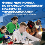 Профессионалы