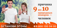 Калужанам напоминают о правилах, защищающих леса от пожаров - Правительство Калужской области