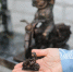 В Калуге открыли космонавтика-байкера - Калужский перекрёсток