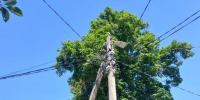 Фото: Kaluga-poisk.ru - Kaluga-Poisk.Ru