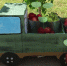 выставка-продукции-юннатов-0911.jpg - ГТРК Калуга