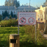 В калужском Боровске запретили кормить голубей - Комсомольская Правда