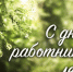 Уважаемые работники и ветераны лесного хозяйства! - Министерство природных ресурсов и экологии