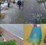 Вандалы повредили деревья и разбили тумбу «Безопасного города» в Калуге - Комсомольская Правда