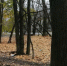 Фото: Kaluga-poisk.ru - Kaluga-Poisk.Ru
