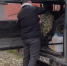 26 мешков картошки калужане собрали для бойцов СВО - Знамя
