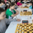 «Серебро» калужской шашистки на Кубке мира в Турции! - KalugaSport.Ru