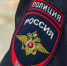 полиция-мвд-нашивка-1025.jpg - ГТРК Калуга