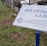 В Калуге появилась Президентская аллея - Калужский перекрёсток