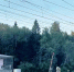 В Калужской области перекроют железнодорожный переезд - Комсомольская Правда