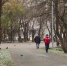 погода-осень-1031.jpg - ГТРК Калуга