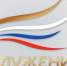 Более 500 заявок подали калужане на III премию «Служение» - Телерадиокомпания Ника