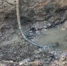 В Балабаново устранили прорыв водопровода - Калужский перекрёсток