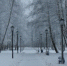 Калуга-поиск - Kaluga-Poisk.Ru