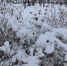 Фото: Kaluga-poisk.ru - Kaluga-Poisk.Ru