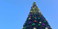 Фото: Kaluga-poisk.ru - Kaluga-Poisk.Ru