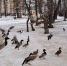 Калуга-поиск - Kaluga-Poisk.Ru