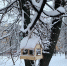 На 6°C темлее, чем вчера - Калужская неделя