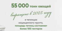 Калужский минсельхоз поделился достижениями 2025 года в виде новогодних открыток - Телерадиокомпания Ника