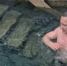 Владислав Шапша - Kaluga-Poisk.Ru