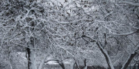 Фото: Kaluga-poisk.ru - Kaluga-Poisk.Ru