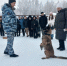 JPG Файл - УМВД Калужской области