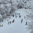 Калуга-поиск - Kaluga-Poisk.Ru