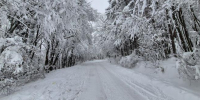 Фото: Kaluga-poisk.ru - Kaluga-Poisk.Ru