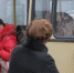 В Калуге добавят автобусы на маршрут №44 только с 1 марта - Калужский перекрёсток