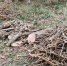 Фото: Kaluga-poisk.ru - Kaluga-Poisk.Ru