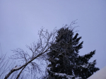 В Обнинске сбили беспилотник