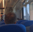 Калуга-поиск - Kaluga-Poisk.Ru