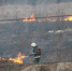 Калуга-поиск - Kaluga-Poisk.Ru