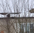 Вячеслав Парфенов - Kaluga-Poisk.Ru