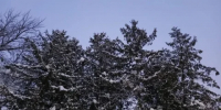 Во второй половине дня воскресенья атаки вражеских БПЛА продолжились - Калужский перекрёсток