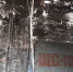 img - ЛДПР