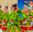 DSC06391.jpg - КГУ им. К.Э. Циолковского